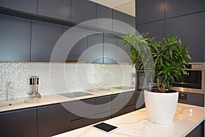 A modern grey and white kitchen with kitchen cabinets and front, sink, faucet, kitchen appliances: glass-ceramic cooktop, built-in
