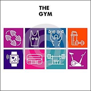 Modern Gym Infographic design template with icons. Sport and fitness Infographic visualization on white background