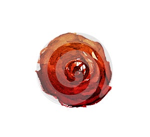 Modern hand drawn red rose on white background. Abstract red rose flower watercolor painting. Contemporary watercolor