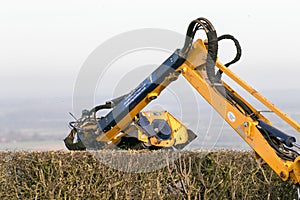 Modern hedge cutter