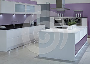 Modern high end luxury kitchen