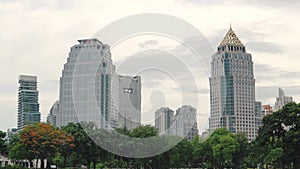 Modern high-rise buildings are directed to the sky. Skyscrapers rise above the ground and green trees in the business