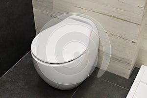 Modern home bathroom interior design with toilet or bidet. Luxury white themed background for interior and design. Small roughness