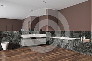 Modern home bathroom interior with toilet, sink and bathtub with accessories