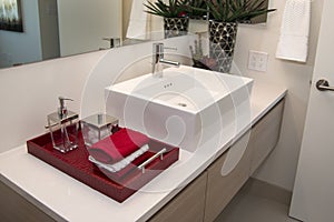 Modern Home Bathroom Sink photo