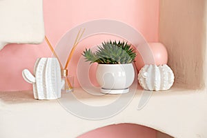 Modern home decor. Collection of cacti in pots