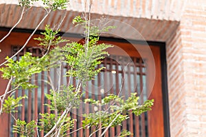 Modern home eco office building with plant tree for green ozone for fresh air purify and UV heat protection saving energy photo
