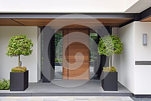 Modern Home Entrance with Elegant Wood Door and Potted Plants