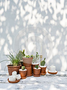 Modern home garden or table centerpiece with plants and candles.