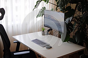 Modern home office with curved screen and orthopaedic chair.Interior with plants