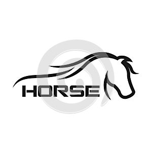 Modern horse arabian steed logo. Vector illustration