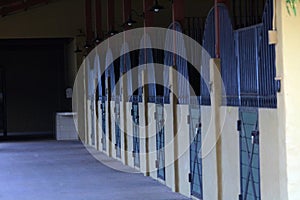 Modern horse stable and riding school in barn at farm