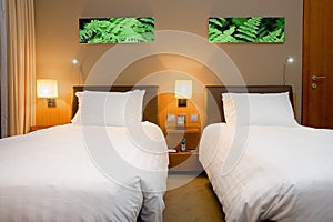 Modern Hotel room or Bedroom