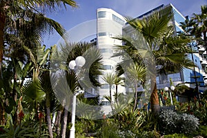 Modern hotel with a wonderful garden in Casablanca photo