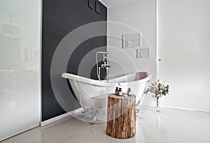 Modern house bathroom interior