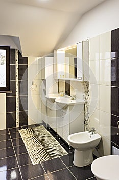 Modern house bathroom interior