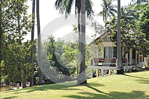 Modern house in coconut garden