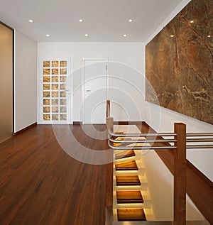 Modern house, entry with parquet and alight staircase