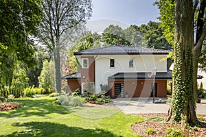 Modern house, garden with bushes and trees