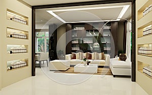 Modern house interior