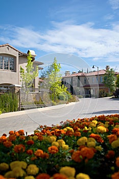 Modern Houses with Flowers