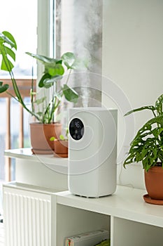 Modern humidifier at home, moistens dry air surrounded by indoor plant. Humidification concept