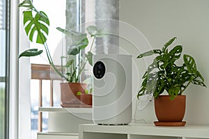 Modern humidifier at home, moistens dry air surrounded by indoor plant. Humidification concept