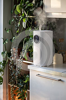 Modern humidifier at home, moistens dry air surrounded by indoor plant. Humidification concept