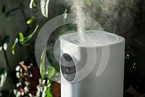 Modern humidifier at home, moistens dry air surrounded by indoor plant. Humidification concept