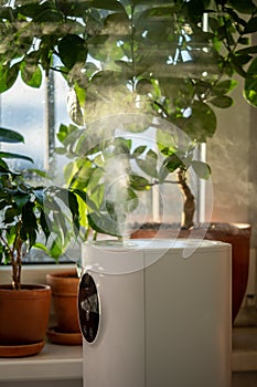 Modern humidifier at home, moistens dry air surrounded by indoor plant. Humidification concept