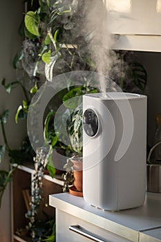 Modern humidifier at home, moistens dry air surrounded by indoor plant. Humidification concept