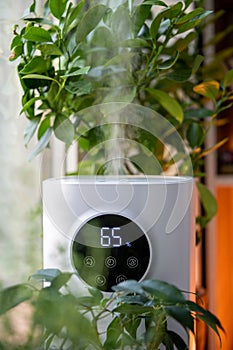 Modern humidifier at home, moistens dry air surrounded by indoor plant. Humidification concept