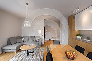 Modern iand bright living room