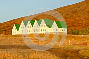 Modern Icelandic houses near Laugavartn