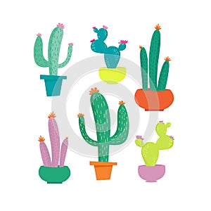 Cute cactus set on white