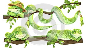 Modern illustration of cute serpent mascots sleeping, showing likes and dislikes, angry and hanging on a branch in a zoo