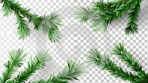 Modern illustration of realistic pine tree branches. Isolated fir twigs with green needles, spruce or cedar elements