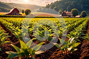 Modern industrialized agriculture using technology, agritech farming of crops photo