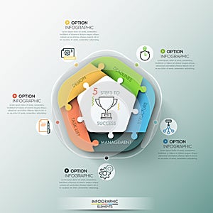 Modern infographic options banner.