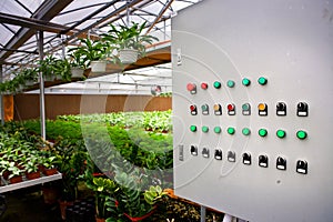 Modern intelligent greenhouse