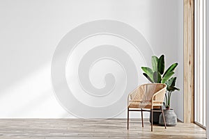 modern interior background for mock up with empty white wall, chair and plant, luxury living room interior background,