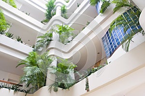 Modern Interior Building with luxuriant green plants