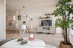 Modern interior in a compact apartment with a spacious combined living room with table, chairs and decorative