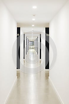 Modern interior. Corridor in a hotel building