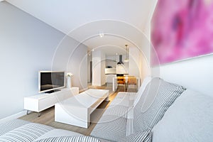 Modern interior design living room and kitchen