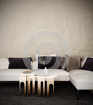 Modern interior design with white sofa and empty concrete wall background.