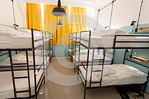 Modern interior of dormitory room with bunk beds in new hostel style for many students