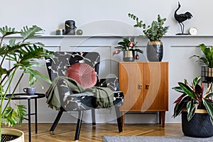Modern interior of living room with design armchair, wooden vintage commode, wood paneling with shelf, a lot of plants.