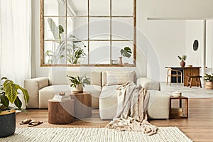 Modern interior of open space with design modular sofa, furniture, wooden coffee tables, plaid, pillows, tropical plants.