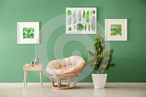 Modern interior of room with stylish armchair, table and houseplant near color wall